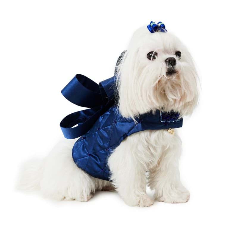 Lulu's Navy Blue Gift Kıyafet resmi